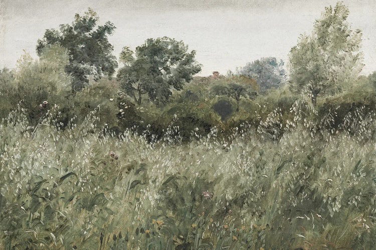Overgrown