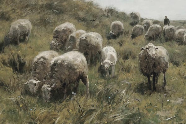Sheep: Sheep at Pasture by Willow Studio