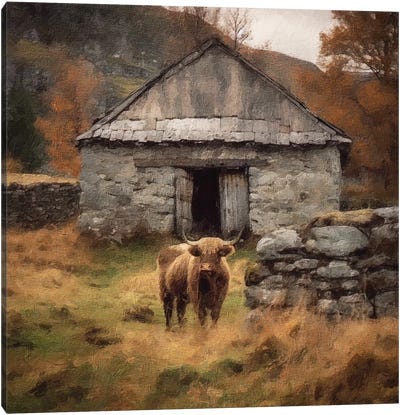Highland Canvas Art Print - Highland Cow Art