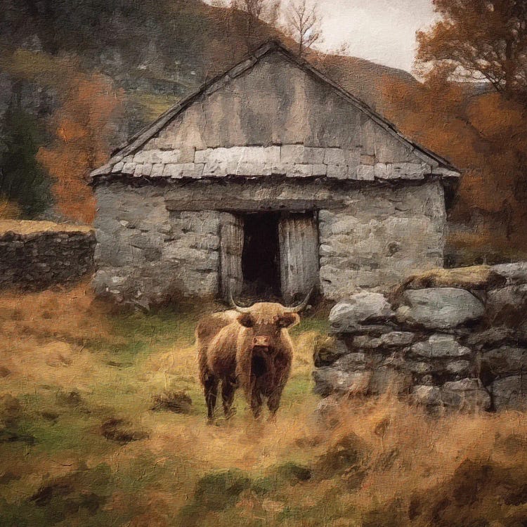 Highland by Willow Studio wall art