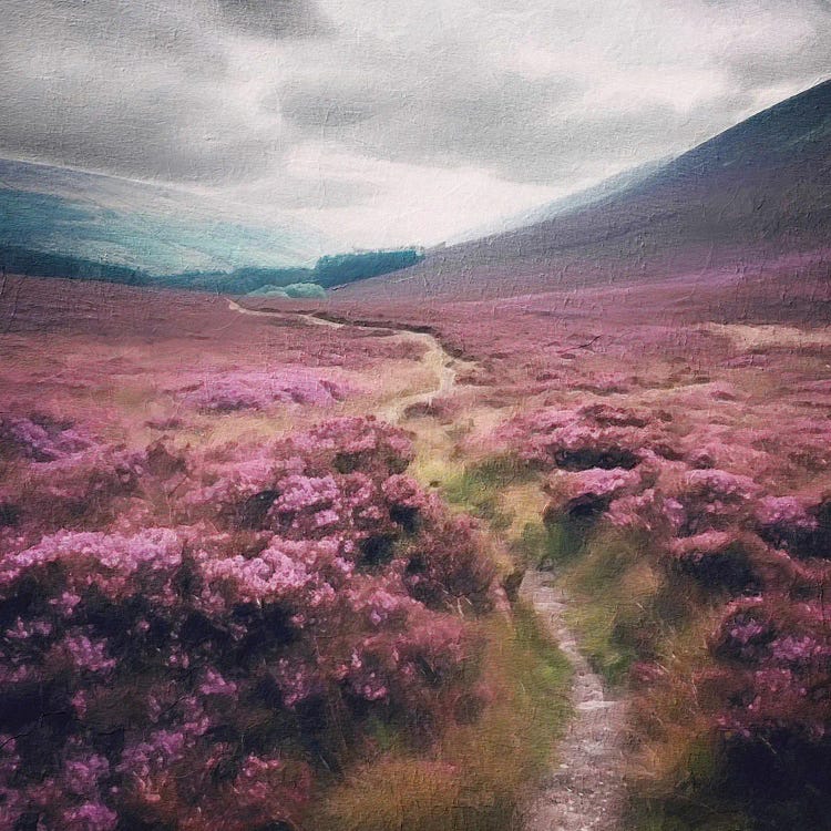 Colorful Highlands Path