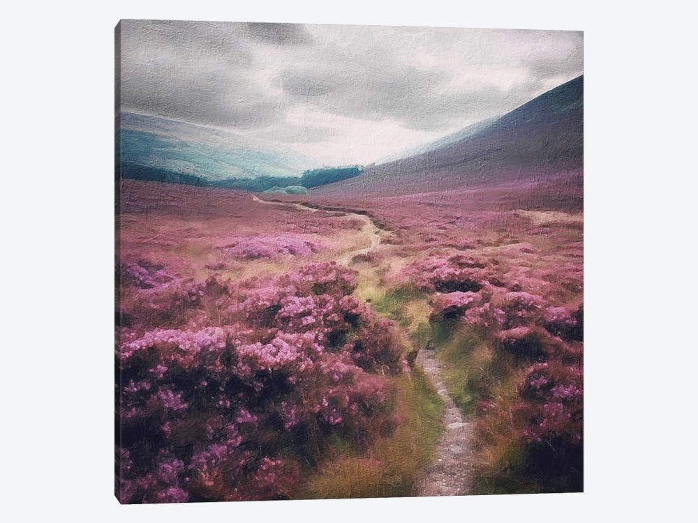 Colorful Highlands Path by RileyB 1-piece Canvas Art