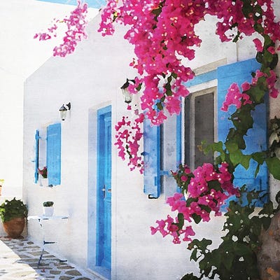 Bougainvillea by Willow Studio art print