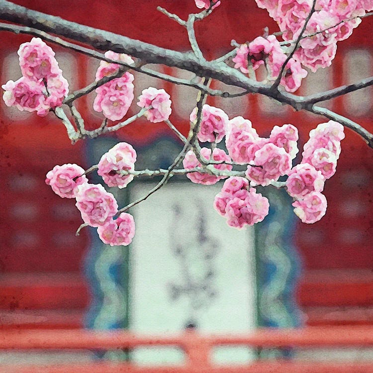 Cherry Blossoms by Willow Studio wall art