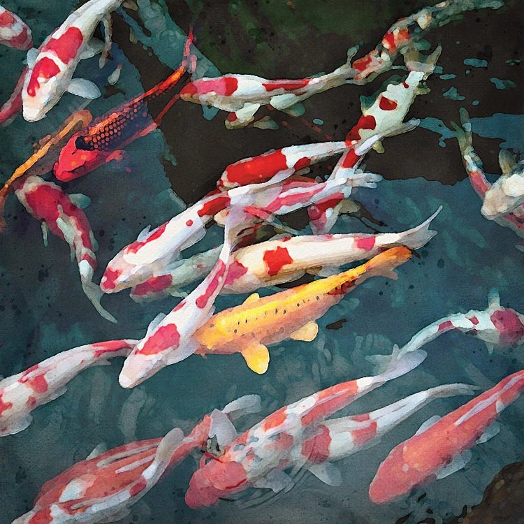 Koi by Willow Studio wall art