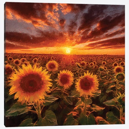 Sunrise Sunflowers V Canvas Print #RLY71} by RileyB Canvas Print