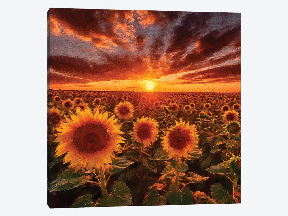 Sunrise Sunflowers V by RileyB 1-piece Canvas Art Print