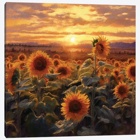 Sunrise Sunflowers VIII Canvas Print #RLY72} by RileyB Canvas Print