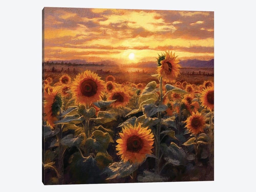 Sunrise Sunflowers VIII by RileyB 1-piece Canvas Artwork