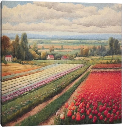 Tulip Fields XI Canvas Art Print - RileyB