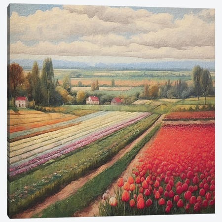 Tulip Fields XI Canvas Print #RLY75} by RileyB Canvas Artwork