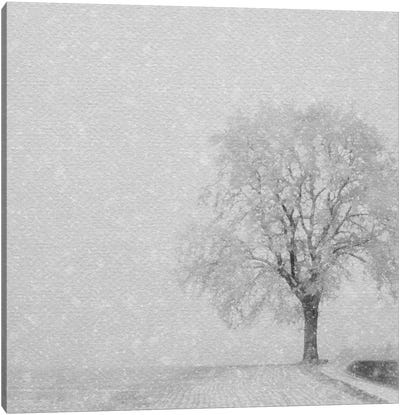 Snowy Tree Canvas Art Print - RileyB