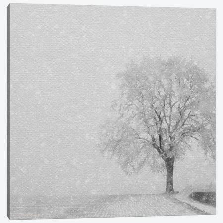 Snowy Tree Canvas Print #RLY84} by RileyB Canvas Art Print
