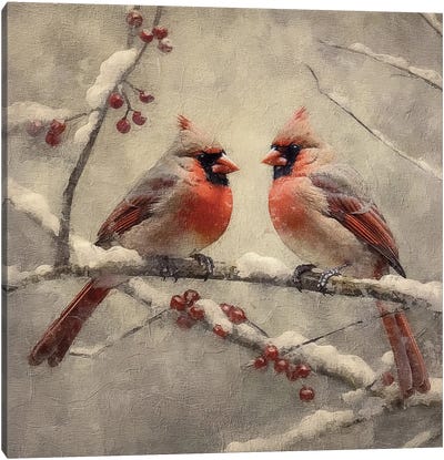 Christmas Cardinals Canvas Art Print - Christmas Animal Art