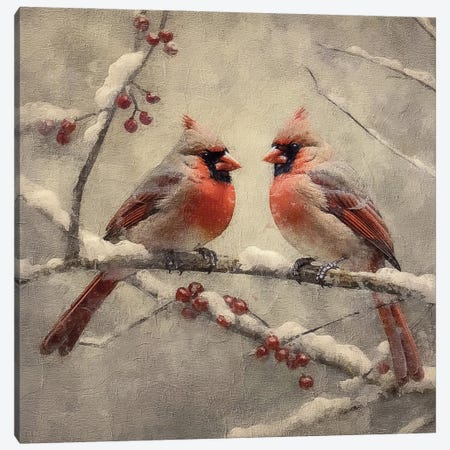 Christmas Cardinals Canvas Print #RLY89} by RileyB Canvas Wall Art