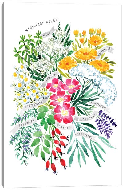 Medicinal Herbs Bouquet In Watercolor Canvas Art Print - Herb Art