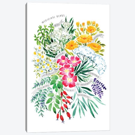 Medicinal Herbs Bouquet In Watercolor Canvas Print #RLZ104} by blursbyai Art Print