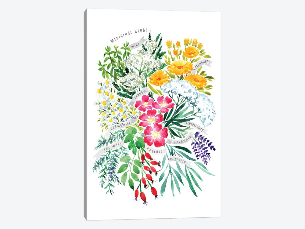 Medicinal Herbs Bouquet In Watercolor by blursbyai 1-piece Canvas Art Print