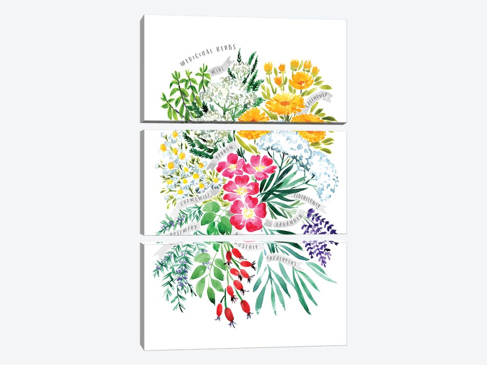 Medicinal Herbs Bouquet In Watercolor by blursbyai 3-piece Canvas Art Print
