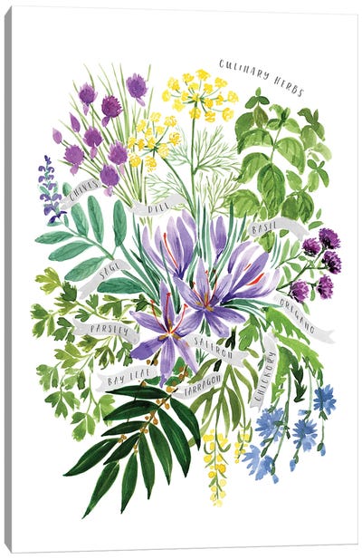 Culinary Herbs Bouquet In Watercolor Canvas Art Print - blursbyai