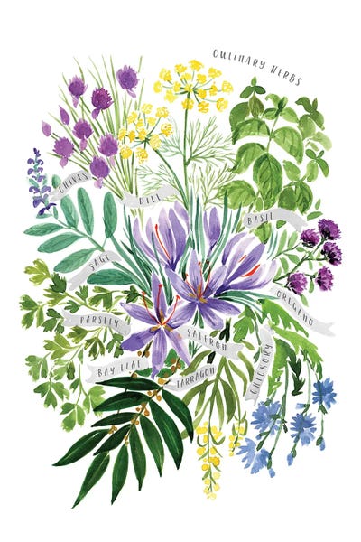 Herbs: Culinary Herbs Bouquet In Watercolor by blursbyai