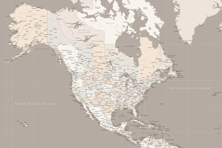 Map Of North America In Brown