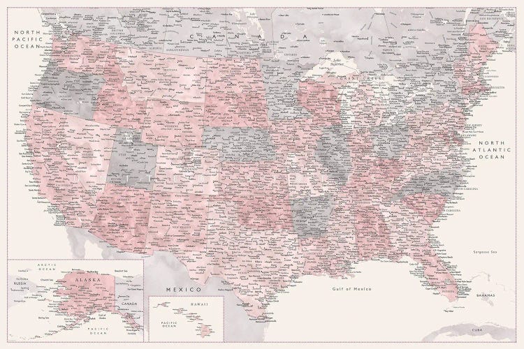 Highly Detailed Map Of The Usa, Madelia, Cream, Dusty Pink And Grey by blursbyai wall art