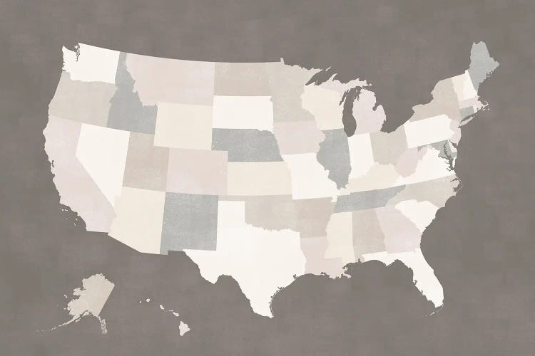 Brown And Cream Map Of The Us by blursbyai wall art