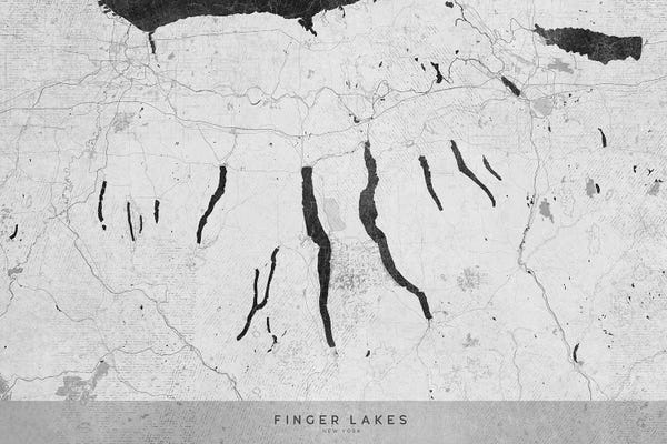blursbyai: Gray Vintage Finger Lakes Ny Map by blursbyai