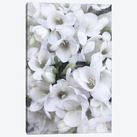 Vintage Spring Freesias In White Canvas Print #RLZ213} by blursbyai Canvas Art