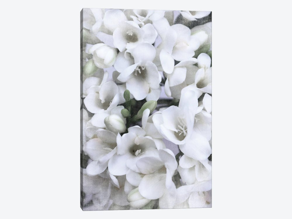 Vintage Spring Freesias In White by blursbyai 1-piece Art Print