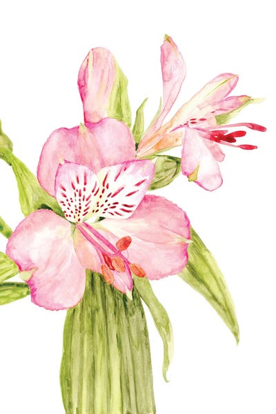Pink Watercolor Alstroemeria by blursbyai multi panel art