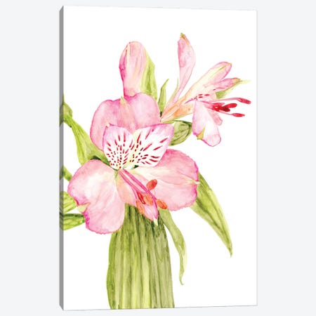 Pink Watercolor Alstroemeria Canvas Print #RLZ237} by blursbyai Art Print