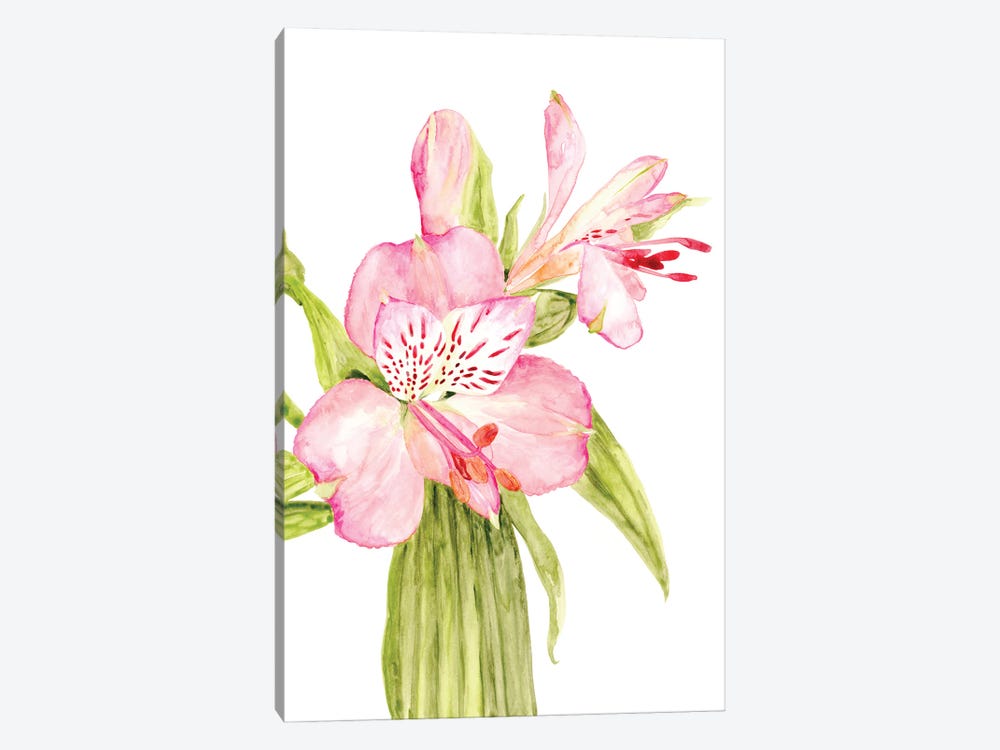 Pink Watercolor Alstroemeria by blursbyai 1-piece Art Print