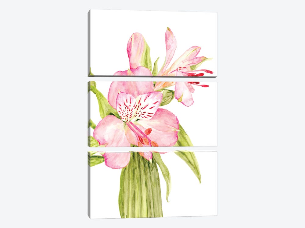 Pink Watercolor Alstroemeria by blursbyai 3-piece Art Print