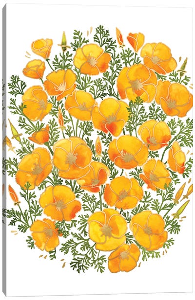 Watercolor California Poppies Bunch Canvas Art Print - blursbyai
