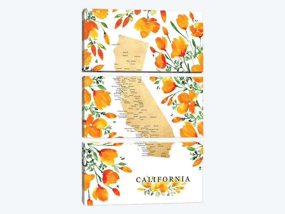 Labeled Map Of California With Poppies by blursbyai 3-piece Canvas Wall Art
