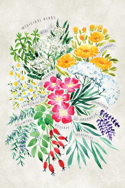 Vintage Watercolor Medicinal Herbs Bouquet by blursbyai art print