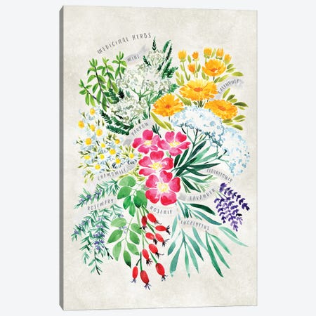 Vintage Watercolor Medicinal Herbs Bouquet Canvas Print #RLZ287} by blursbyai Canvas Art