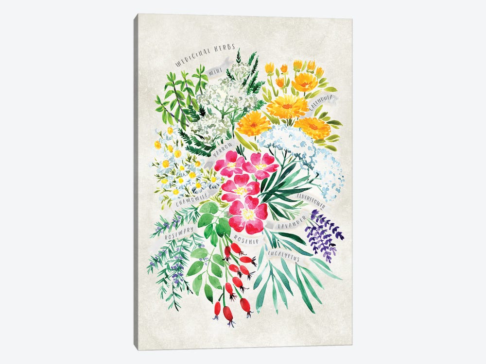 Vintage Watercolor Medicinal Herbs Bouquet by blursbyai 1-piece Canvas Wall Art