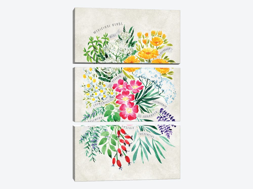 Vintage Watercolor Medicinal Herbs Bouquet by blursbyai 3-piece Canvas Artwork
