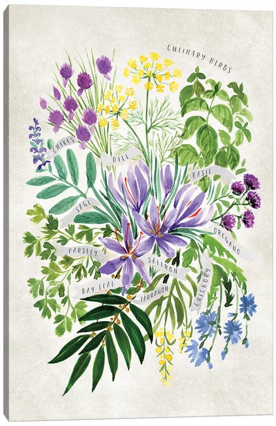 Vintage Watercolor Culinary Herbs Bouquet Canvas Art Print - Herb Art