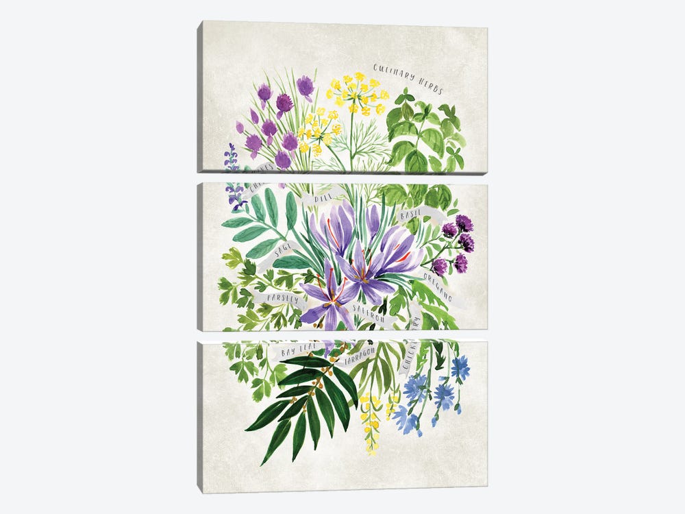 Vintage Watercolor Culinary Herbs Bouquet by blursbyai 3-piece Canvas Print