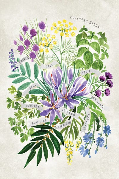 Cooking & Baking: Vintage Watercolor Culinary Herbs Bouquet by blursbyai