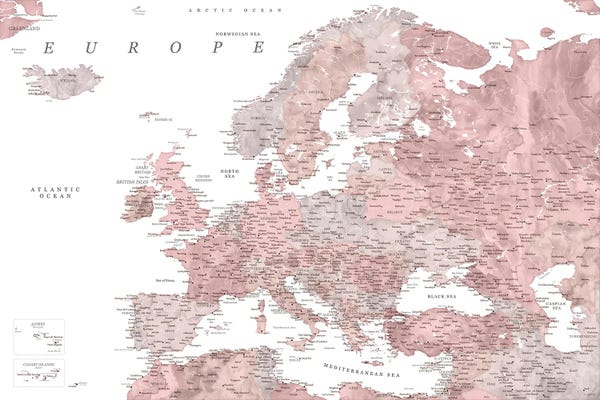 blursbyai: Detailed Map Of Europe In Dusty Pink Watercolor by blursbyai