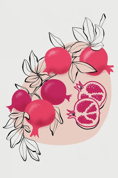 Pomegranates: Fathia Pomegranates by blursbyai