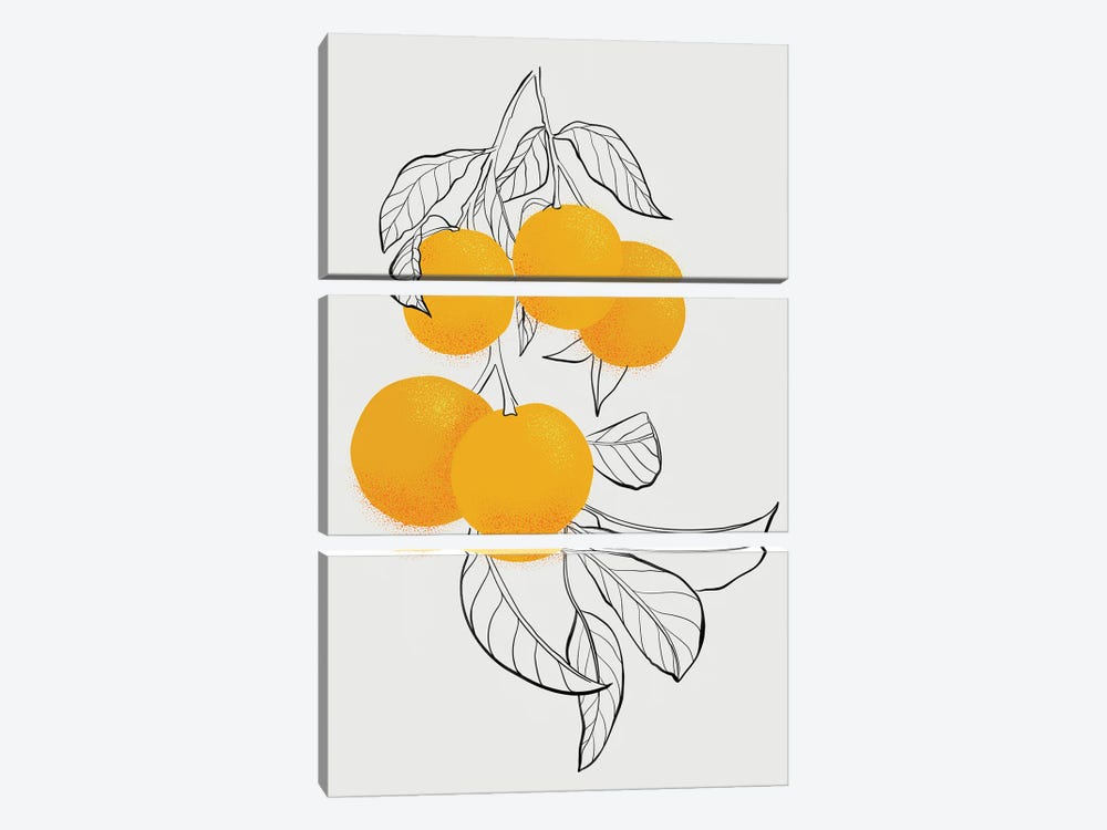 Mabel Oranges by blursbyai 3-piece Canvas Wall Art
