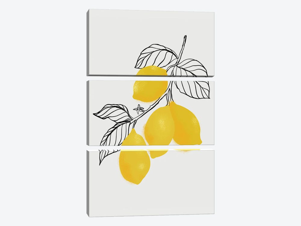 Lamya Lemons by blursbyai 3-piece Canvas Wall Art