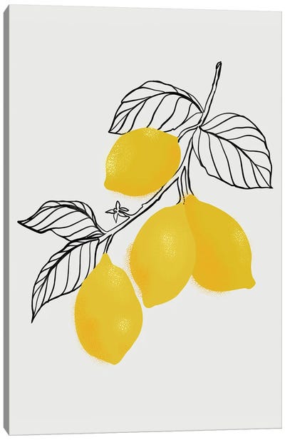 Lamya Lemons Canvas Art Print - Lemon & Lime Art