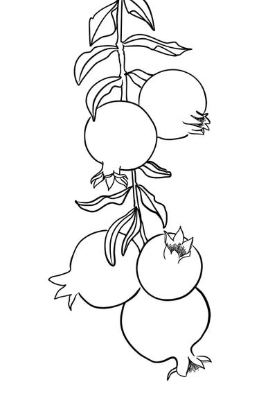 Pomegranates: Branch Of Pomegranates by blursbyai